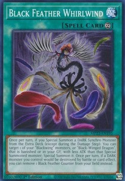 Black Feather Whirlwind 1st Edition MP23 EU English